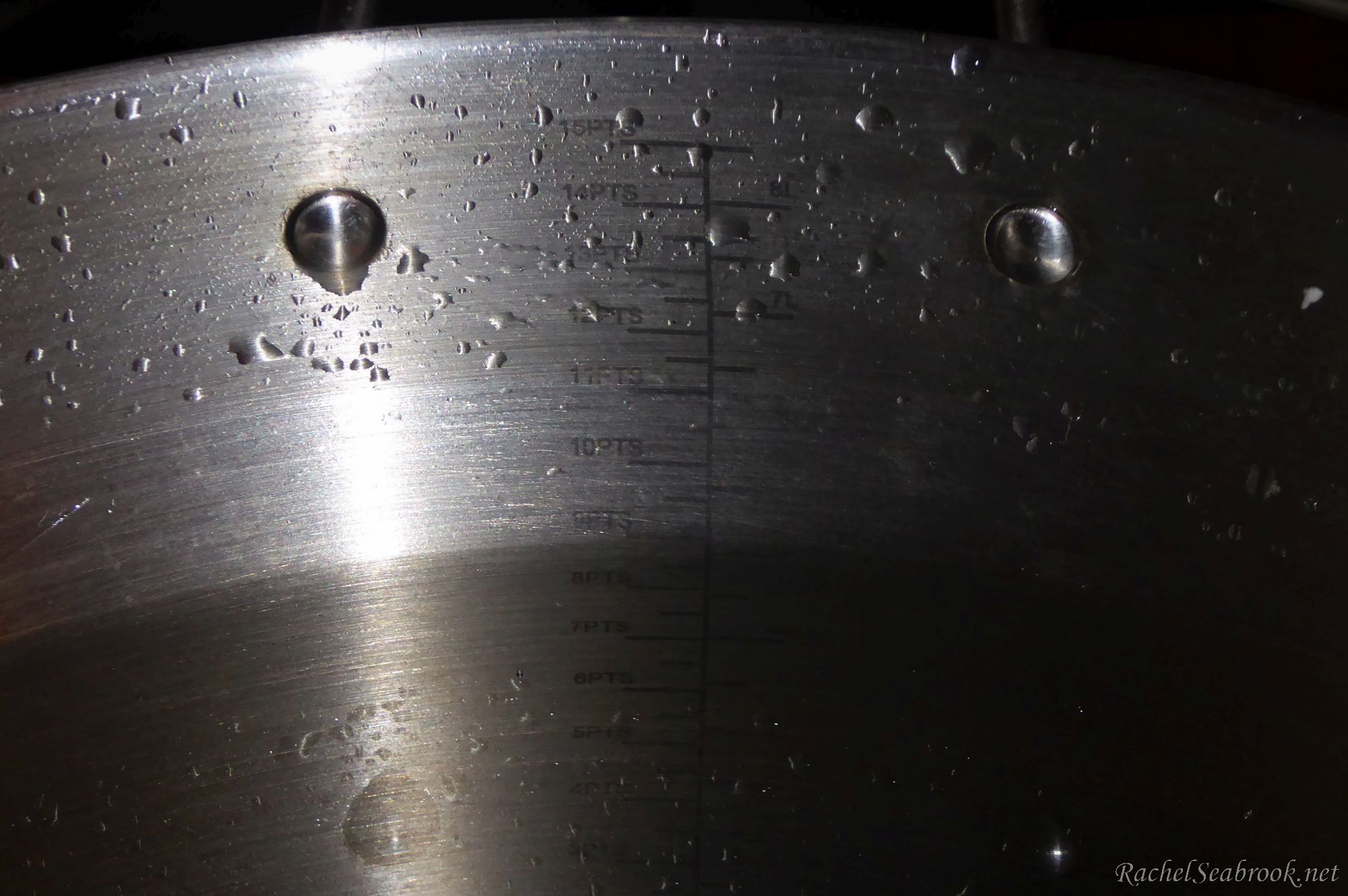 scale on inside of pan